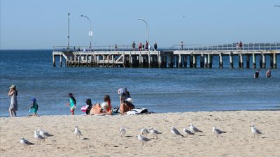 Man dies while snorkelling at suburban beach