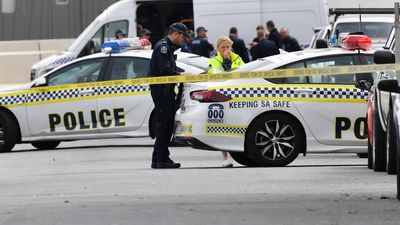 Teenage boy shot in leg in bullet-riddled home