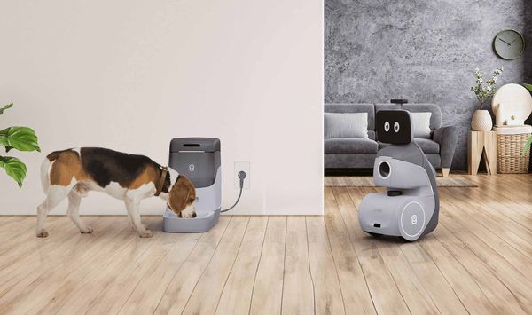 Ecovacs breaks out from robot vacuums, announcing a host of new robot  cleaning devices for 2024, including a smart lawn mower