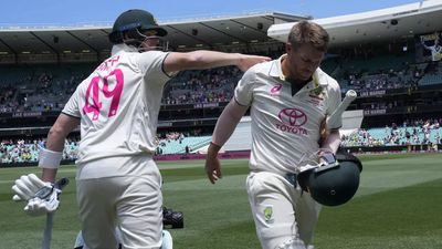 Steve Smith replaces David Warner as Australia Test opener