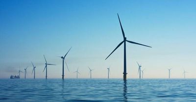 Hunter floating wind farm attracts fraction of Gippsland applications