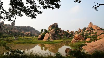 Tamil Nadu may get four new Biodiversity Heritage Sites this year