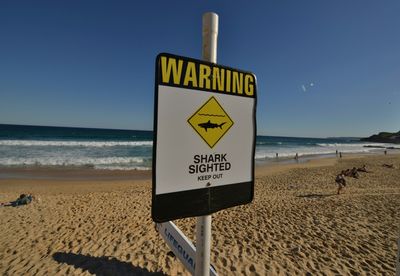 Man Attacked By Shark While Surfing On An Australian Beach