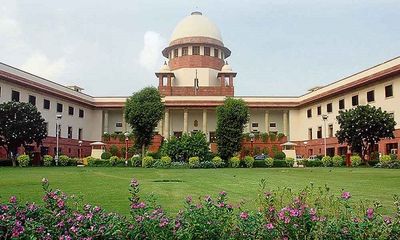 SC lists stray dog menace issue for hearing in February