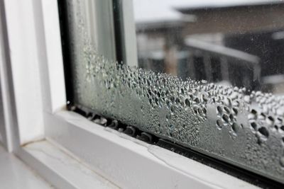 Why condensation is forming on your windows and how to stop it