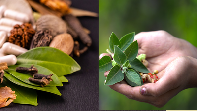Difference between Ayurveda, Unani and Siddha medicines