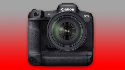 Canon's new flagship coming in February with "less resolution than many think"?