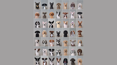 Only a true dog lover can find the real dog in this picture; here's your chance to prove yourself