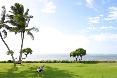 Check out the best photos from the PGA Tour’s 2024 Sony Open