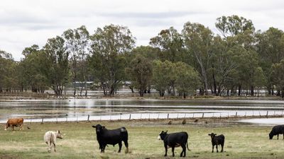 Flood threat persists as weather forecast offers relief