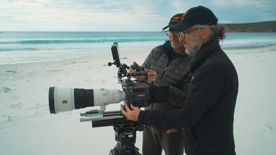 What's the best way to test Sony's new cine camera? Give it to an Oscar-winner and send him to film endangered whales!