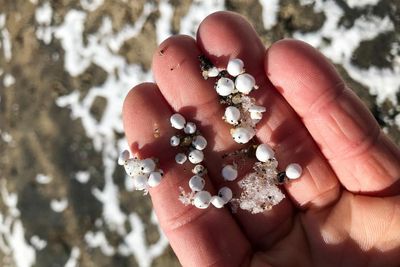 It’s not snow, it’s styrofoam: Lake Tahoe littered with thousands of ‘detrimental’ beads
