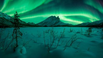 Amazing winning images from Northern Lights Photographer of the Year are out of this world!