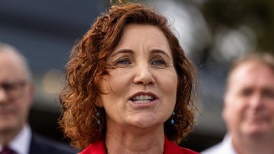 Women's advocate runs for Labor in Peta Murphy's seat