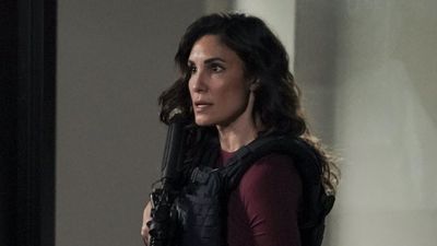 After Daniela Ruah Announced Her NCIS Return, Brien Dietzen, Erik Palladino And More Have Fun Responses