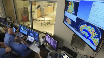 Alpha, beta, theta: what are brain states and brain waves? And can we control them?