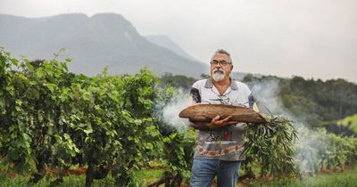 Traditional smoking ceremony 'cleanses' Hunter Valley harvest