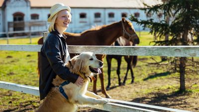 ​​This surprising tip might help you socialize your dog, no matter their age!