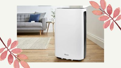 I tried Swan’s new dehumidifier, and it dried an entire wash load in two hours