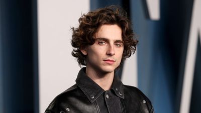 Timothée Chalamet turns his living room into a 'personal museum' with this unconventional shelving solution