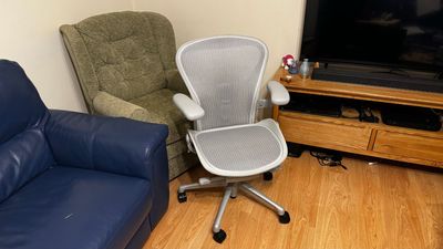 Herman Miller Aeron Review: THE office chair