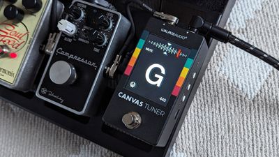 Walrus Audio Canvas Tuner review