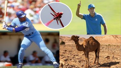 'I Had To Wrangle A Camel That Had Escaped' - We Asked Our Followers The Craziest Thing That's Happened To Them On A Golf Course...