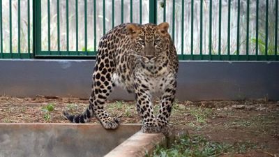 Thrissur Zoological Park | The wild ones are at home here