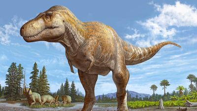 Newfound T. rex relative was an even bigger apex predator, remarkable skull discovery suggests