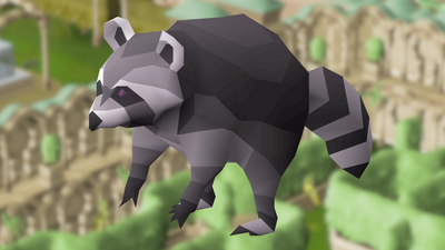 Old School Runescape player grinds the worst version of a minigame for 149 long hours and abandons 88 levels of XP, just to get a cute raccoon without committing a single traceable crime