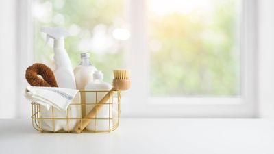 5 cleaning tricks to reduce plastic use at home – balance clean with going green