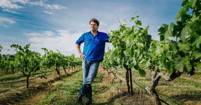 Stuart Hordern takes on chief winemaker role at Brokenwood Wines