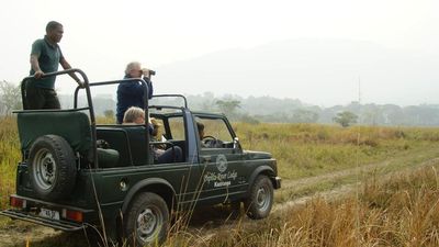 Bespoke wildlife luxury experiences in India for the New Year