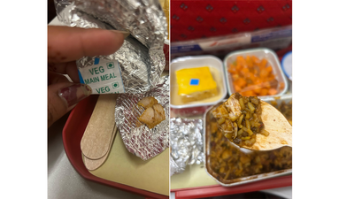 Passenger outraged after airline serves chicken instead of vegetarian meal on flight