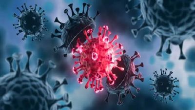 971 cases of Covid sub-variant JN.1 reported from 16 states