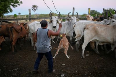 How To Make Agriculture Work For Farmers, Consumers And The Planet