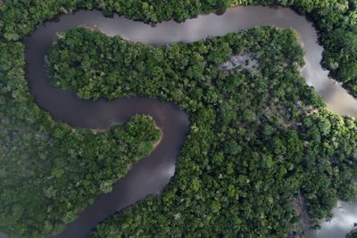 Vast Network Of Lost Ancient Cities Discovered In The Amazon