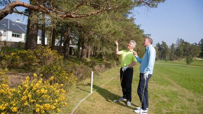 What Should You Do If Your Ball Gets Stuck Up A Tree? Here's What The Rules Of Golf Say...