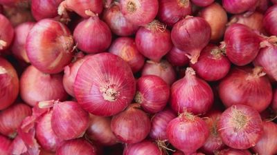 Peeling back the layers of India's onion crisis