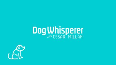 Cineverse Debuts New FAST Channel: Dog Whisperer with Cesar Millan