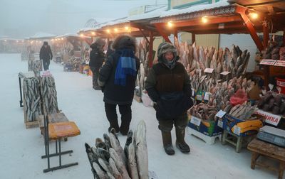 Blizzard conditions and frigid temperatures grip Iowa, disrupting travel