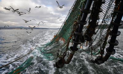 Tories urged to end ‘idiotic’ £1.8bn tax break for UK fishing fleet