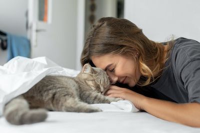 What’s the Best Way To Pet Your Cat? Squish Them, Says Science
