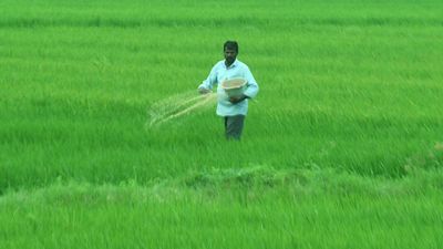 TNCSC planning to procure over 20 lakh tonnes of paddy
