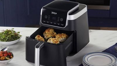 Ninja swaps the super-sized for the super-small with its new air fryer