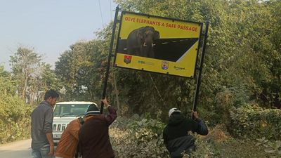 Elephant alert! Human-jumbo conflict zones in Assam sport signboards