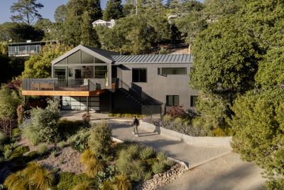 This Mill Valley house’s gentle transformation nods to its leafy context
