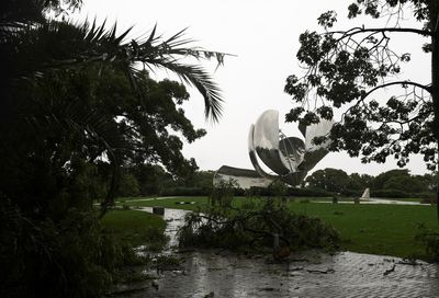 Severe storms disrupt US flights, causing cancellations and delays