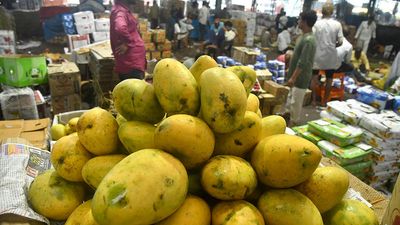 India asks U.S. to permit domestic labs for fruit irradiation to cut trade cost