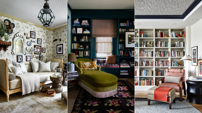 'Bookshelf Wealth' is the trend to know about for 2024 – and it is easy to master the most-talked aesthetic